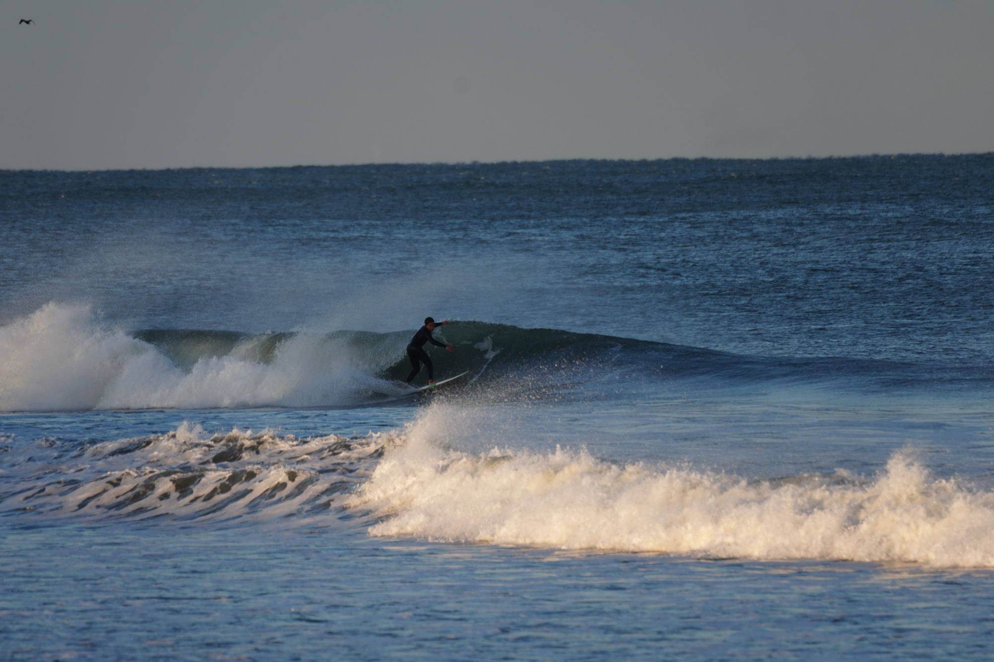 SURFING SHIDASHITA