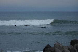 SURFING ISM